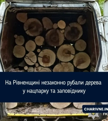 На Рівненщині незаконно рубали дерева у нацпарку та заповіднику