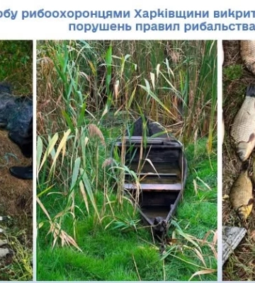 Незаконна рибалка: за один день на Харківщині виявили два порушення