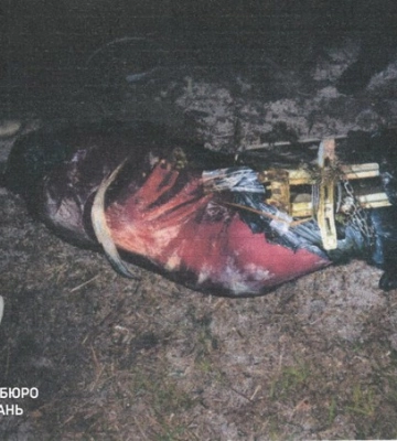 Суддя замовив убивство мачухи заради спадщини. Тіло знайшли в Південному Бузі