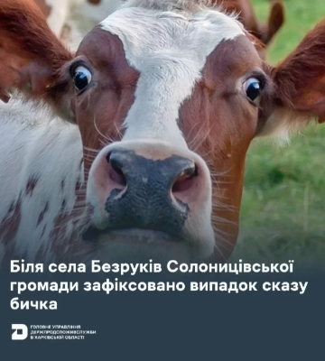 Карантин ввели у селі під Харковом: у бичка виявили сказ