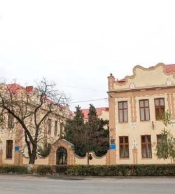 Історичні школи Берегова опинилися в суді: міськраду зобов’язали подбати про охорону пам’яток