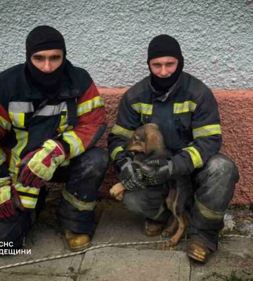 В Одесі рятувальники витягли з вигрібної ями цуценя