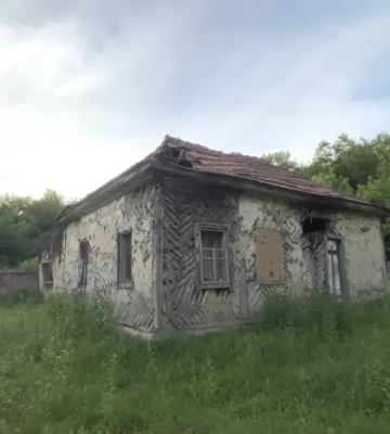 Блогер показав українське село-привид, яким вільно ходять косулі