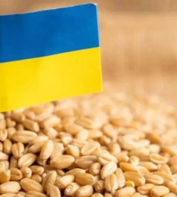 Україна швидко поверне ринки зерна після відновлення експорту з портів Одеси – Мінагрополітики