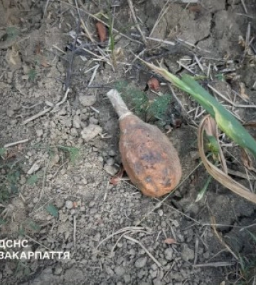 На Ужгородщині чоловік та жінка виявили гранати часів Другої світової війни (ФОТО)