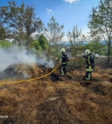 Вогонь охопив навіс із сіном на Тячівщині: рятувальники врятували житловий будинок