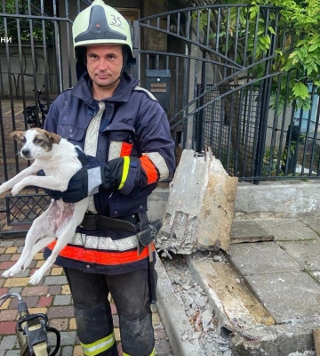 Кішка на дні яру, цуценя — у ямі: на Одещині рятувальники визволяли пухнастиків із пасток