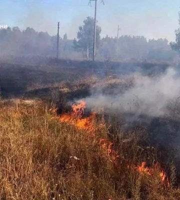 На Житомирщині під час гасіння палаючого сухостою серйозно постраждала жінка, - ДСНС