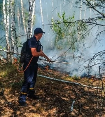 На Житомирщині ліквідували пожежу в заповіднику «Древлянський», яка тривала понад тиждень