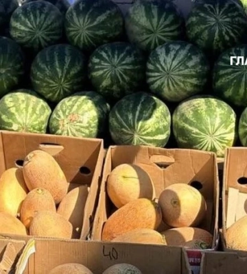 Де у Києві проходитимуть продуктові ярмарки 1-6 вересня (адреси)