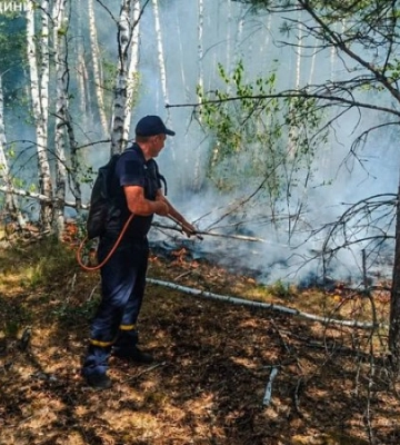 На Житомирщині ліквідували пожежу в заповіднику, яка тривала більше тижня