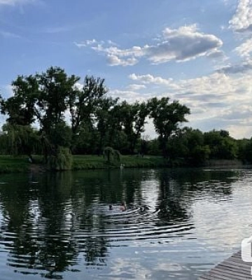 Небезпечні паразити: у водоймі Кривого Рогу виявили життєздатні яйця гельмінтів