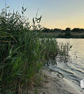 В водоеме Кривого Рога обнаружили холероподобный вибрион — чем он опасен