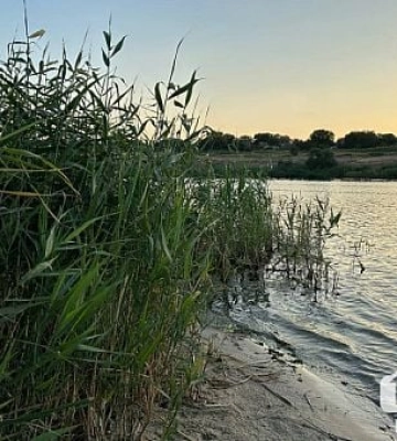 У водоймі Кривого Рогу знайшли холероподібний вібріон — чим він небезпечний