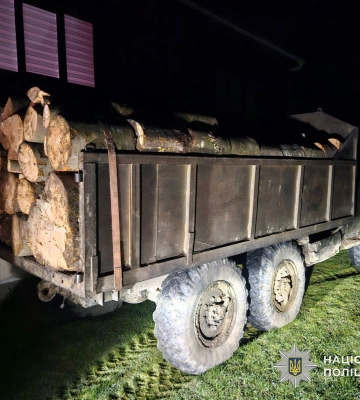 На Закарпатті повідомили про підозру членам ОЗГ за незаконну вирубку лісу на понад 5,8 млн грн
