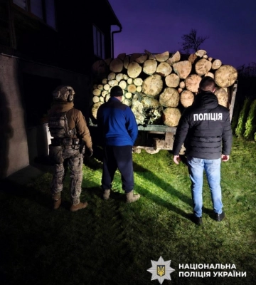 На Закарпатті члени ОЗГ незаконно вирубали лісу майже на ₴6 млн