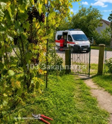 Незграбний рух у саду: на Ужгородщині жінка випадково відрізала собі палець автоматичним секатором