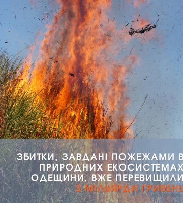 Збитки від пожеж в екосистемах Одещини перевищили три мільярди гривень