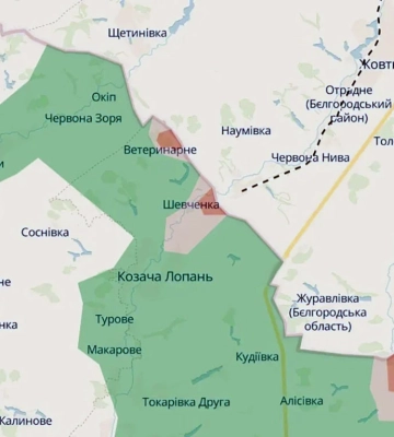 «Казачья Лопань не оккупирована» – Синегубов
