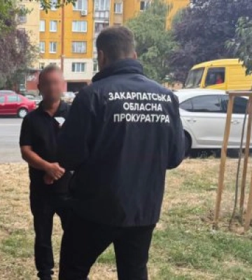 Понад 8 млн грн у деклараціях: на Закарпатті двом депутатам сільради оголосили підозри