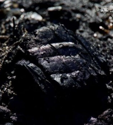 Атака на Днепр: восемь пострадавших, четверо в больнице, один погиб