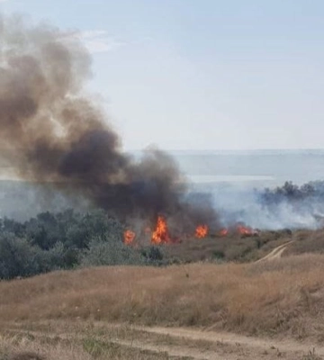 Унаслідок бойових дій на Одещині вигоріло п’ять гектарів Нижньодністровського нацпарку 