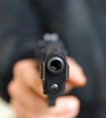 У Миколаєві п'яний чоловік погрожував поліцейському пістолетом