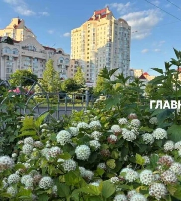 Майже +40°С та чотири рекорди: чим здивувало літо-2026 у Києві
