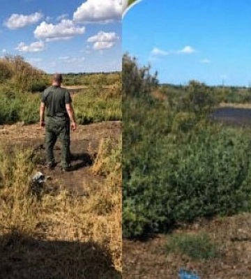Різкий запах від свиноферм: у Криворізькому районі перевірять можливе забруднення