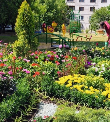 Понад 30 тисяч квітів і 100 тисяч кущів: як за літо впорядковували двори Харкова