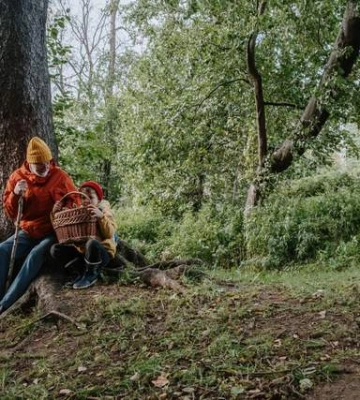 Куди поїхати по гриби на Львівщині: це найпопулярніші напрямки на вихідні