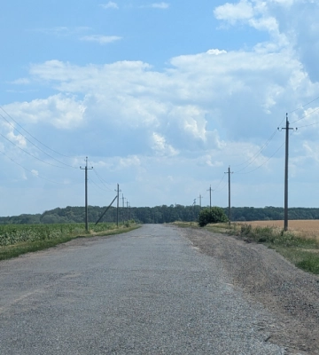 На Харківщині поглиблюється ґрунтова посуха: що кажуть синоптики