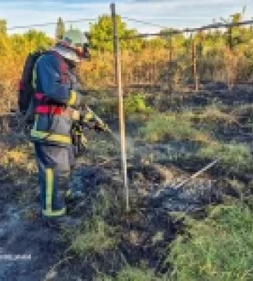 На Харківщині жінка загинула під час випалювання сухої трави