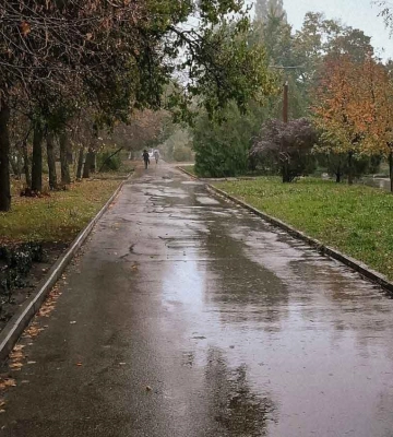 Кіровоградщину накриє сильний вітер: оголошено жовтий рівень небезпеки 