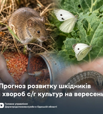 Аграрії Одещини розпочинають боротьбу з гризунами та совками