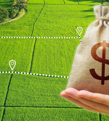 Вартість землі на Харківщині: оренда — до $500, купівля — до $1000 за гектар