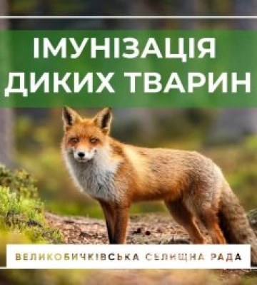 У вересні на Закарпатті розпочнеться осіння вакцинація диких тварин проти сказу: що варто знати жителям Рахівщини
