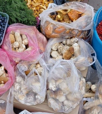 Скільки коштують гриби на ринку у Луцьку та які вже можна купити