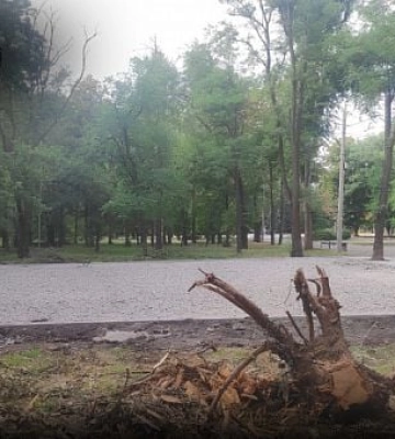 В парке «Шахтерский» в Кривом Роге забетонируют зеленую зону: что там будет