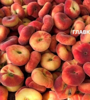 Де у Києві проходитимуть продуктові ярмарки 8-13 вересня (адреси)