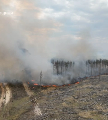 Вогонь охопив 153 гектари: на Харківщині триває ліквідація лісових пожеж 