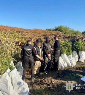 На Закарпатті вислухав вирок суду 44-річний наркоплантатор, - поліція