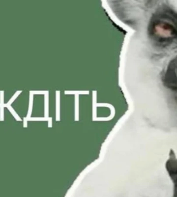 Американський купол в Києві. У Threads розібрали на меми приїзд делегації США в Україну