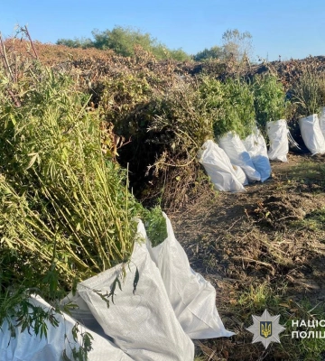 9 років за ґратами: у Мукачеві засудили наркоділка, у якого знайшли канабіс, коноплі та зброю