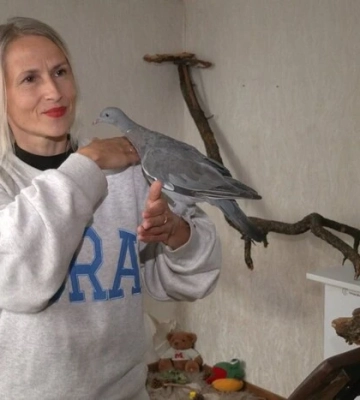 У Чернігові жінка врятувала диких голубів та прихистила їх у власному будинку
