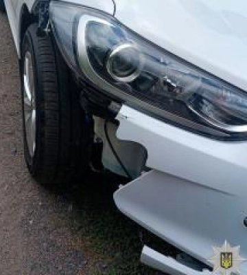 ДТП під Полтавою: водійка збила пішохода з собакою і втекла з місця події