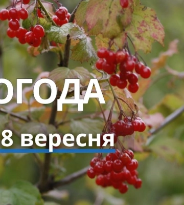 Якою буде погода у Харкові та області 8 вересня