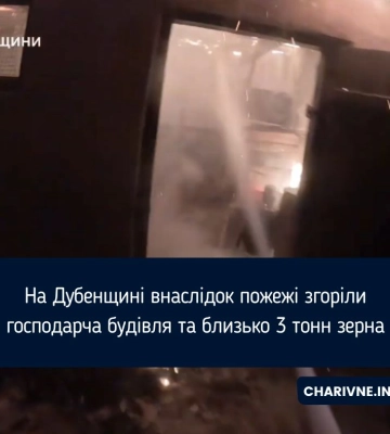 На Дубенщині внаслідок пожежі згоріли господарча будівля та близько 3 тонн зерна