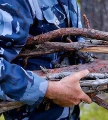 На Волині селянин пішов у ліс по дрова й отримав 17 тисяч гривень штрафу