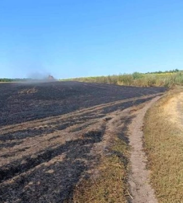 Екологи оштрафували палія стерні